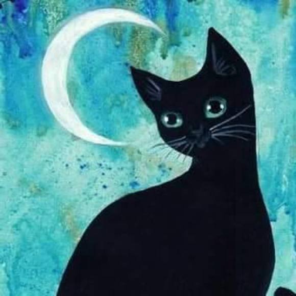 Meet your Posher, Tanja - Picture 4 of 7